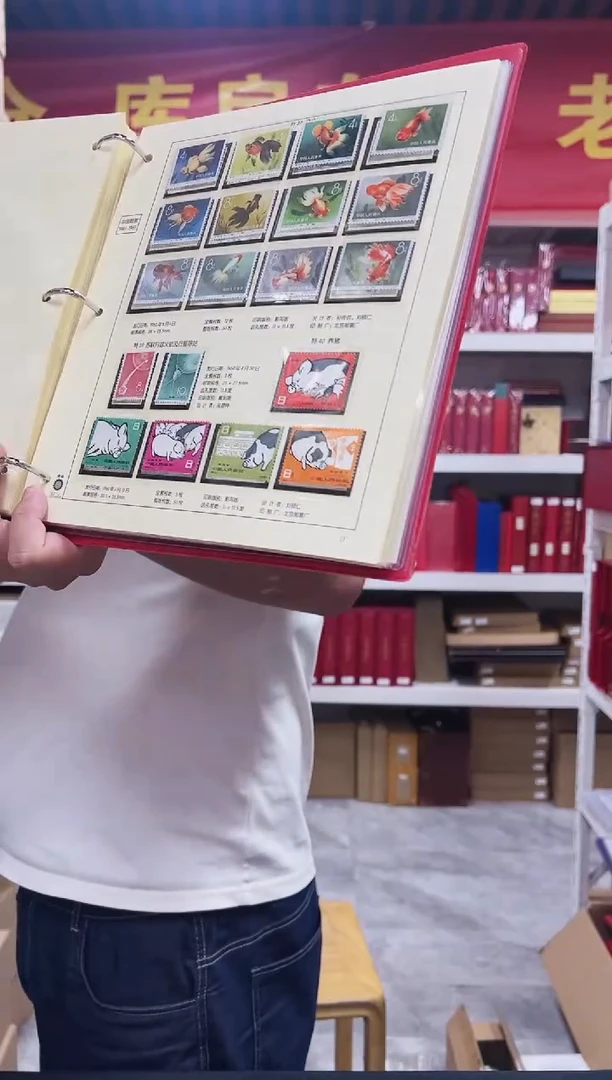 特40 养猪中国邮票 封装评级 邮票