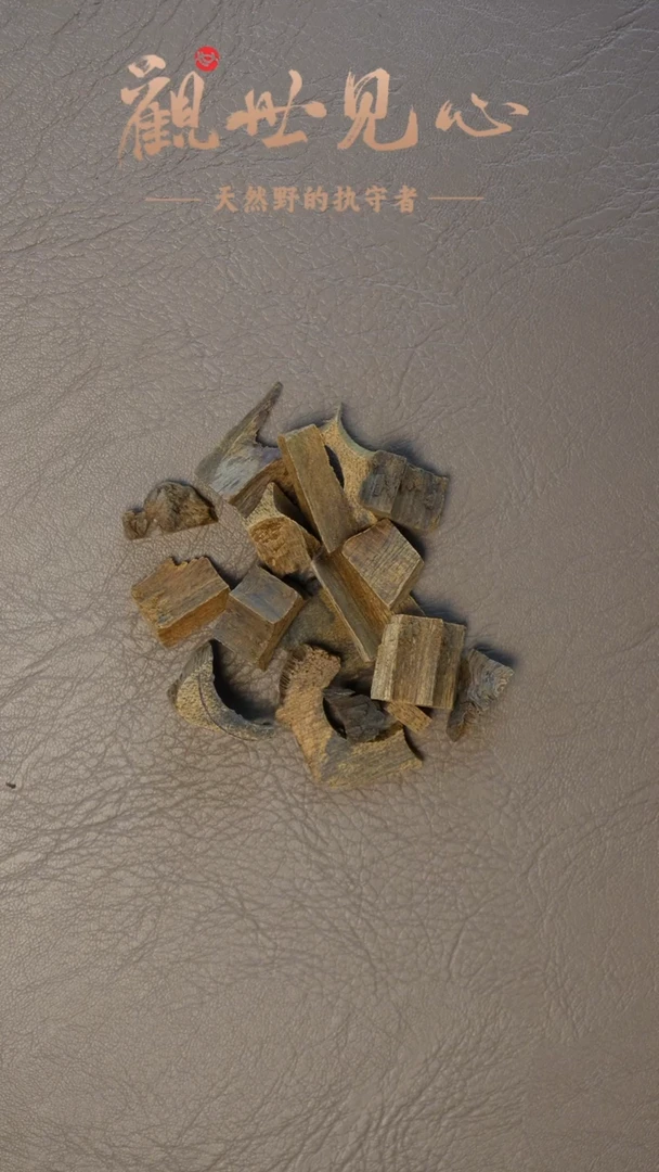 沉香沉香碎屑老亚齐碎料  1g