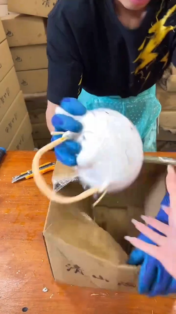 瓷片商品链接@@@@@@@@@@@@@@