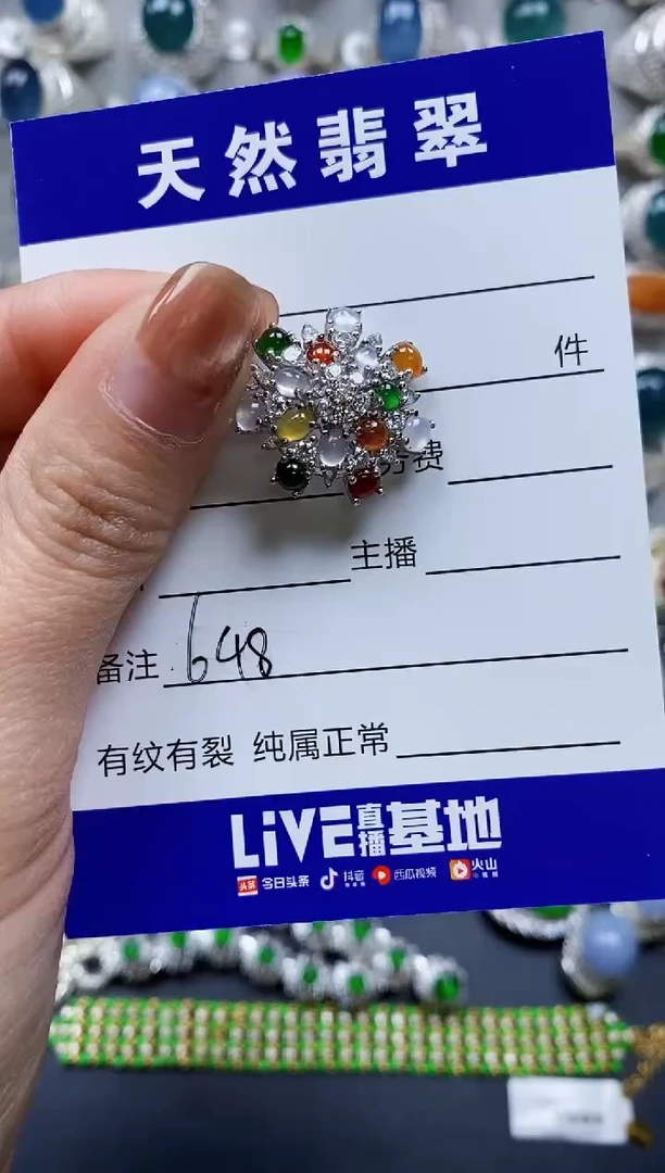 【闪购商品】翡翠颈饰银S925镶嵌0648