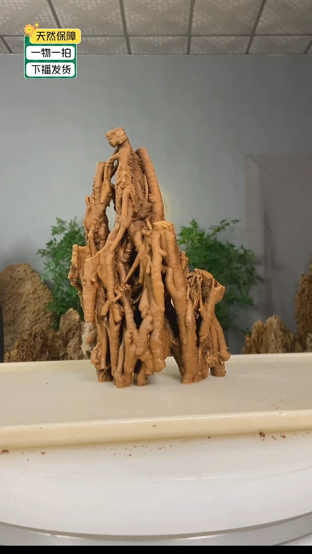 无花朵画***陈吸水石111111