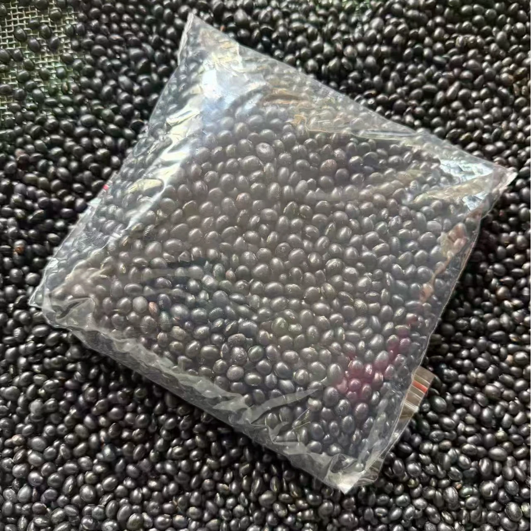 黄心黑豆非转基因可打豆浆醋泡煮粥的杂粮