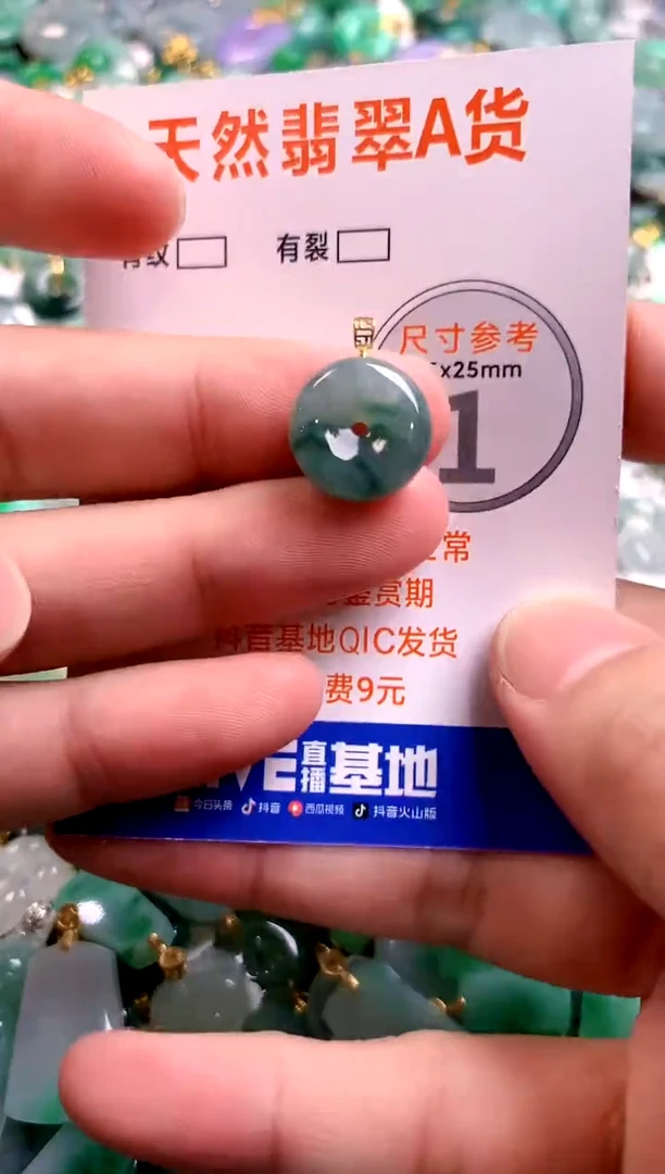颈饰18K金镶嵌翡翠14004824