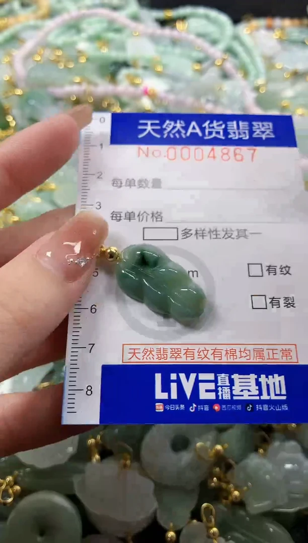 颈饰未镶嵌翡翠天然A货翡翠