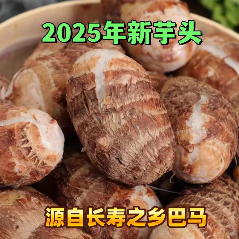 广西巴马2025年新鲜红芽小芋头香芋毛芋农家自种粉糯香甜芋头