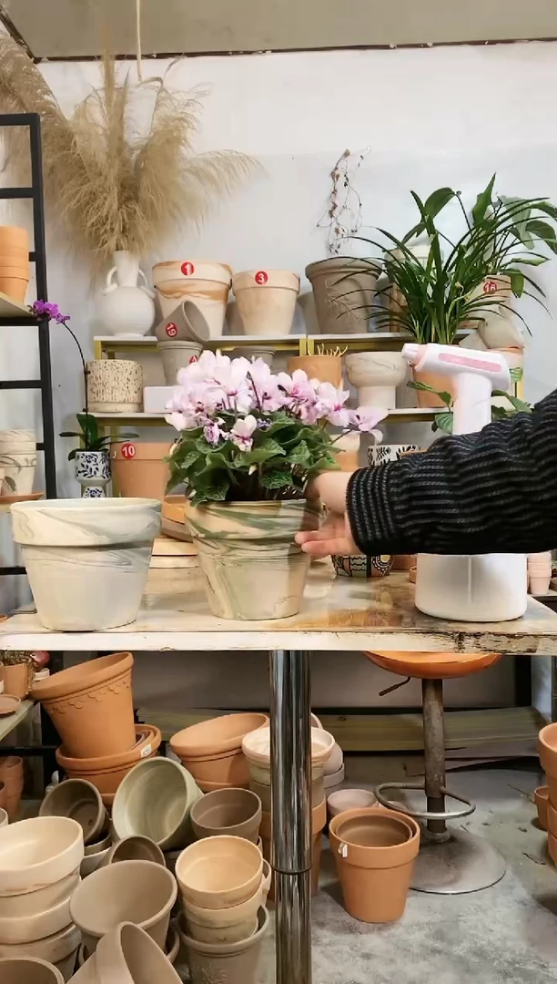 【闪购商品】红陶16*13绿白陶 1盆无托