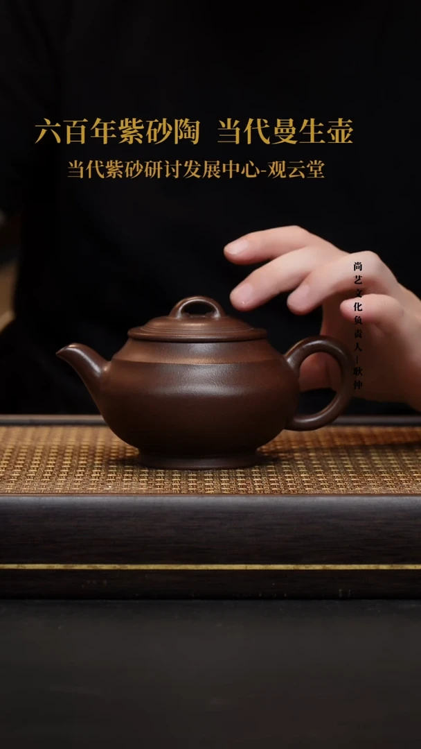 茶壶紫砂紫砂茶壶黑星土律韵