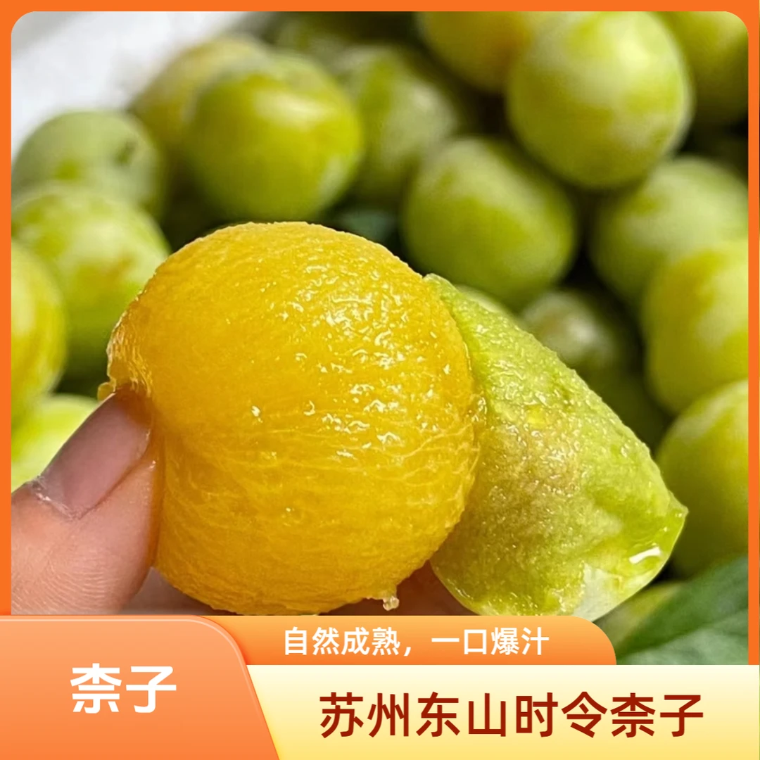 ［东山小众时令柰子］现摘苏州东山小众时令柰子顺丰空运新鲜礼盒装