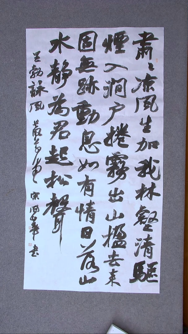 书法宋风华 山东德州 138*69八平尺