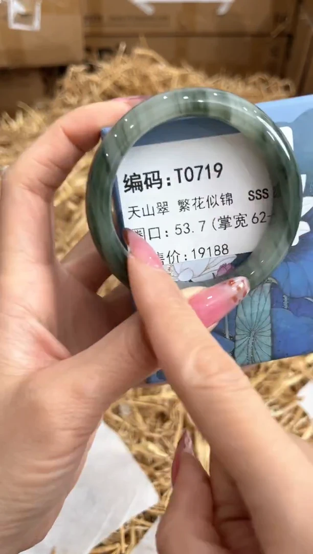 未镶嵌手镯石英质玉T0719