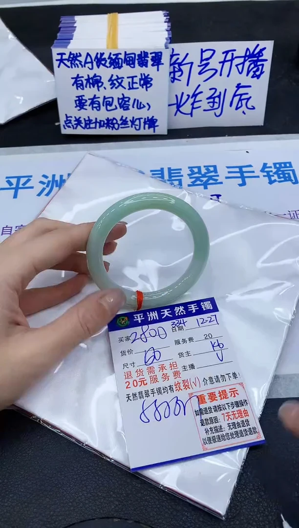 未镶嵌手镯翡翠1