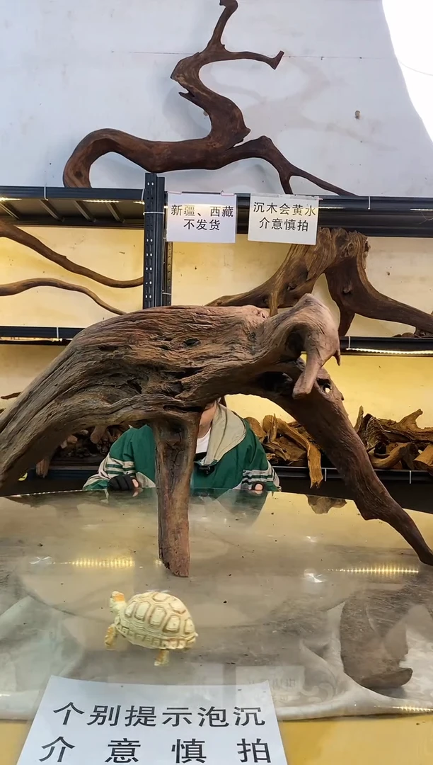 【闪购商品】柚木木艺鱼缸造景素材273