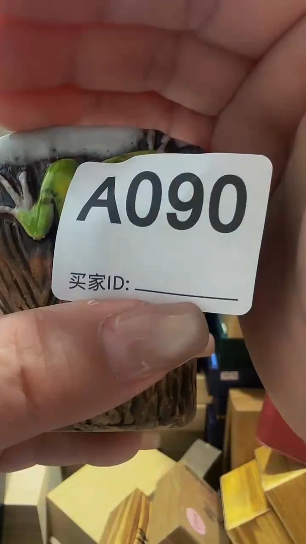 瓷片杨*精美瓷片啦啦啦啦