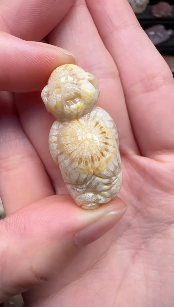颈饰未镶嵌硅化珊瑚（珊瑚玉）561
