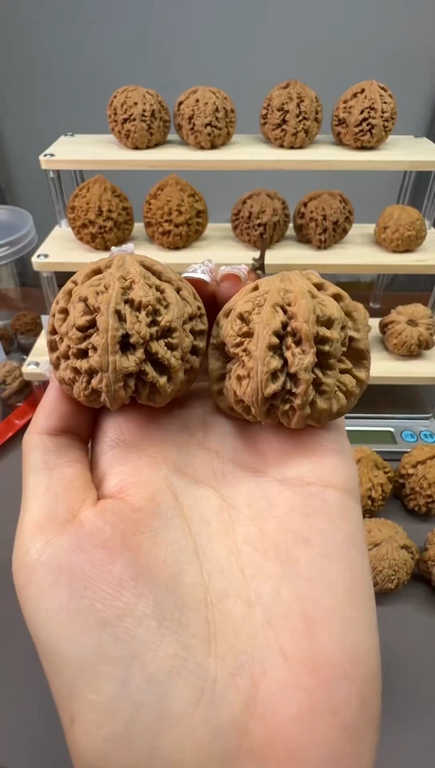 12.23全品42尺大粗筋