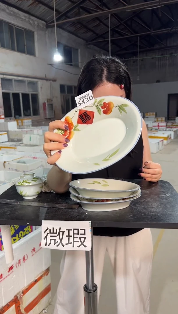 陶瓷景德镇高温釉下手绘陶瓷