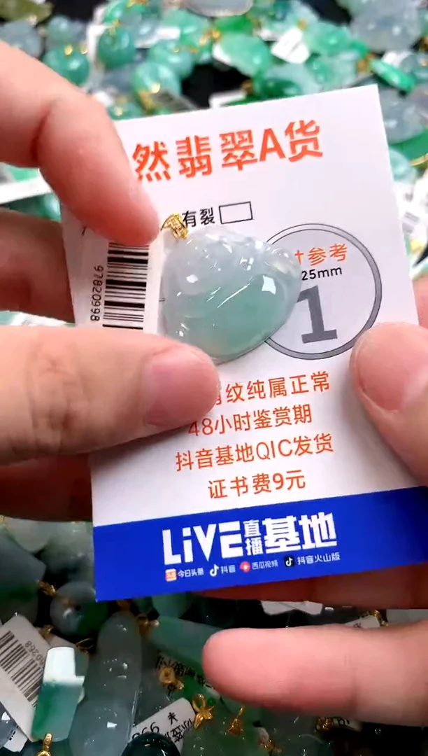 颈饰18K金镶嵌翡翠0399038911
