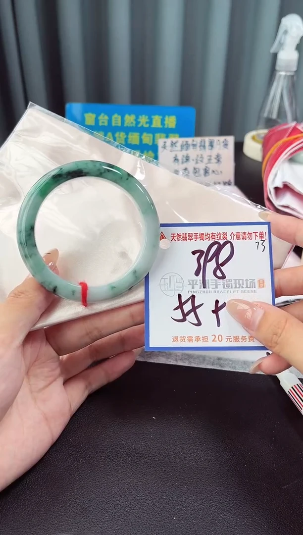 未镶嵌手镯翡翠11111