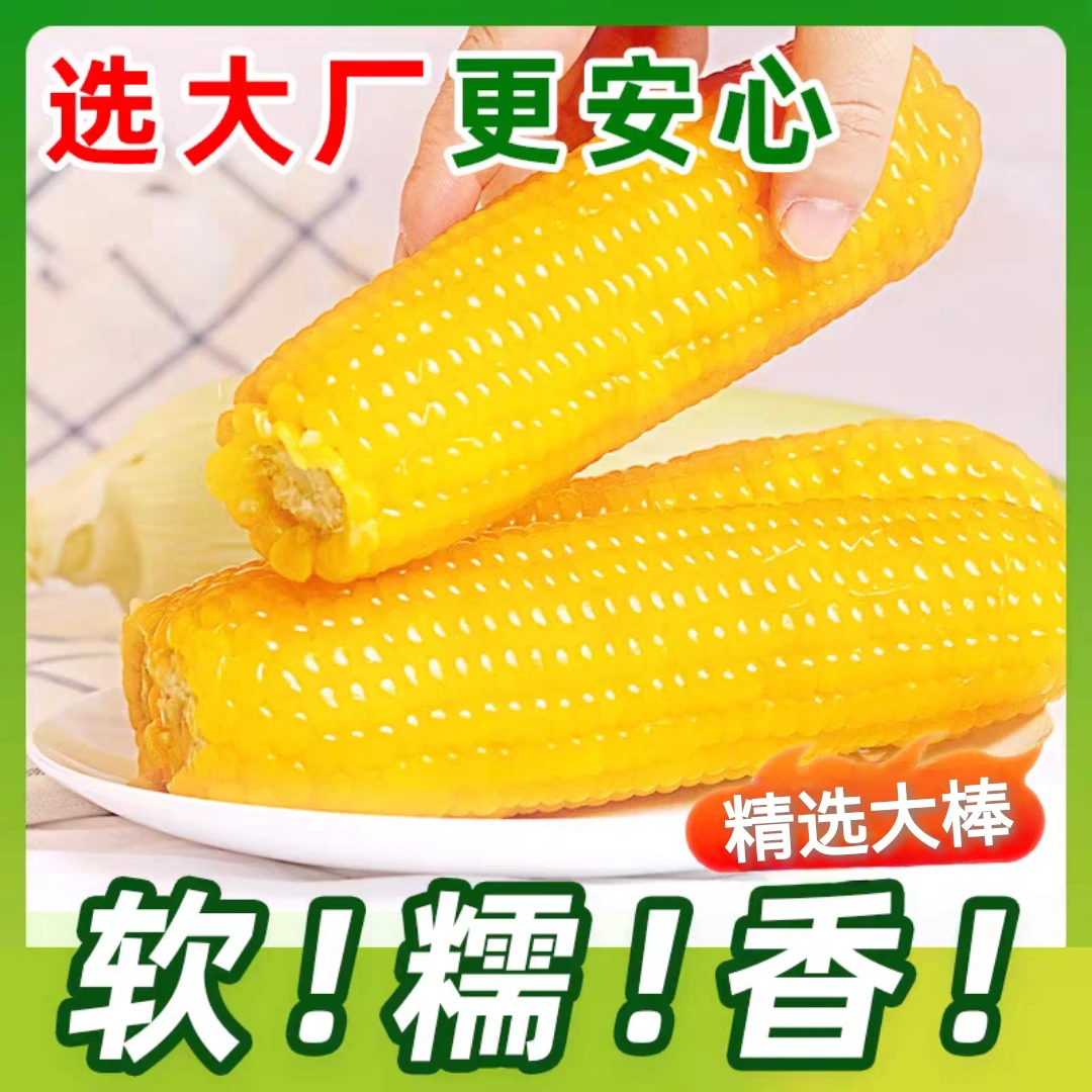 【精选大棒】特大黄糯玉米棒350-400克/根正宗东北甜糯玉米10支一箱