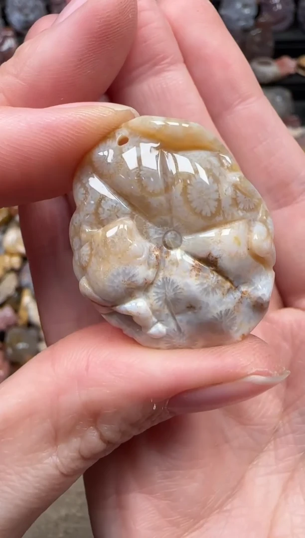 颈饰未镶嵌硅化珊瑚（珊瑚玉）342