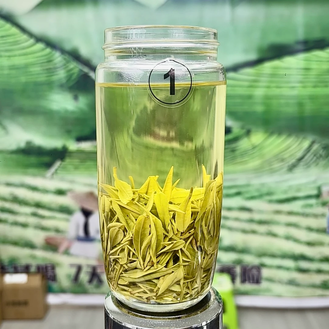 【小苏的白茶】原产地2025年新茶明前采摘鲜爽回甘安吉A04款罐装