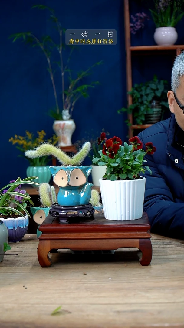 完全开放?****)九尾狐+角堇228