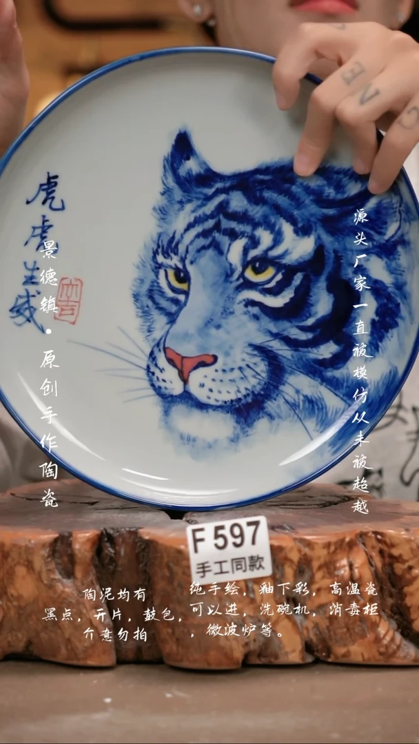其他F596新十二器