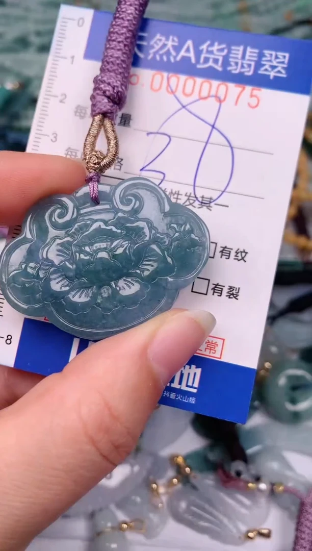 【闪购商品】翡翠颈饰未镶嵌00000075