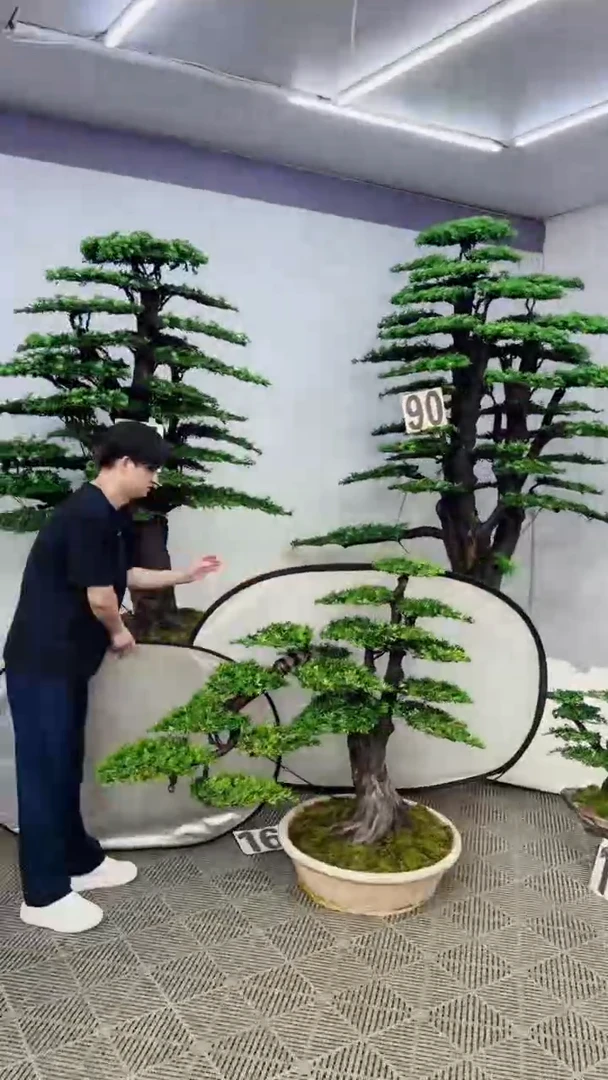 无花朵嗯*造型盆景一物一拍