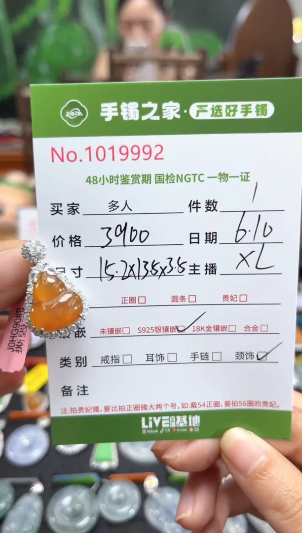 翡翠银S925镶嵌颈饰多人