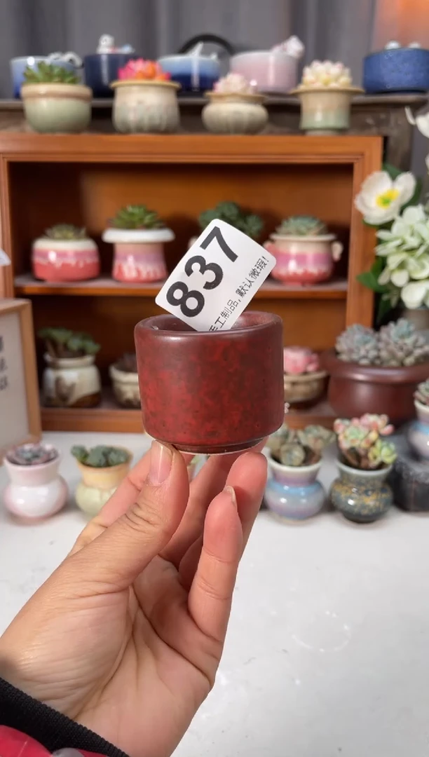 瓷片837小芳直播编号