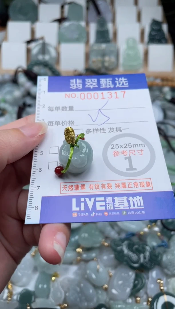 翡翠未镶嵌颈饰00..1317