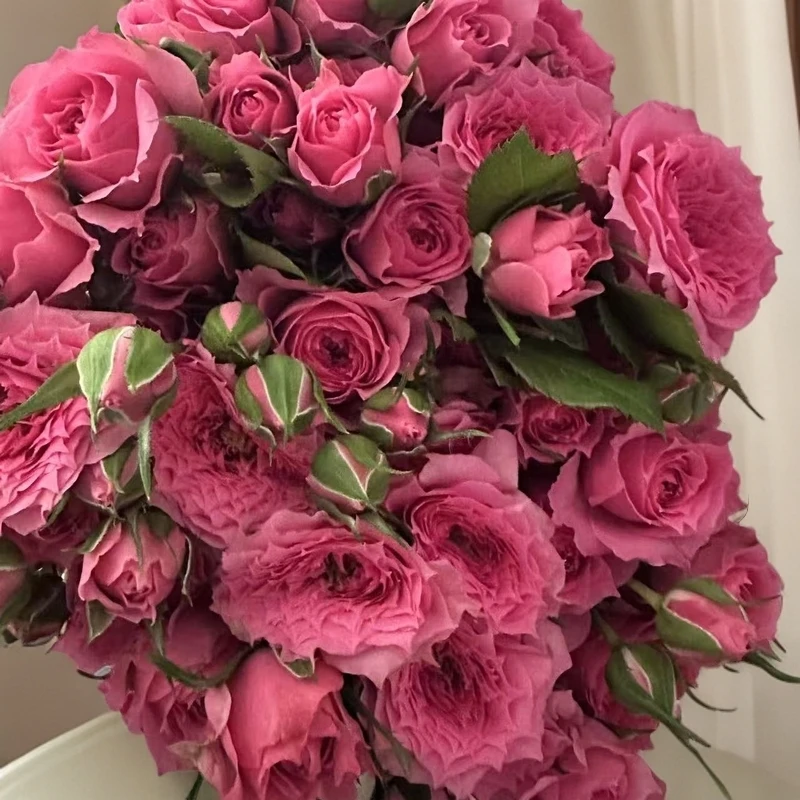 花漾臻品花卉多头苏菲黄玫瑰芭比芍药花束云南基地直发家用水养花