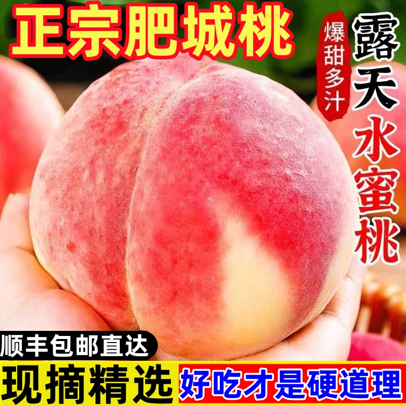 【现摘】山东肥城水蜜桃现摘应季孕妇特大正宗脆甜水蜜桃
