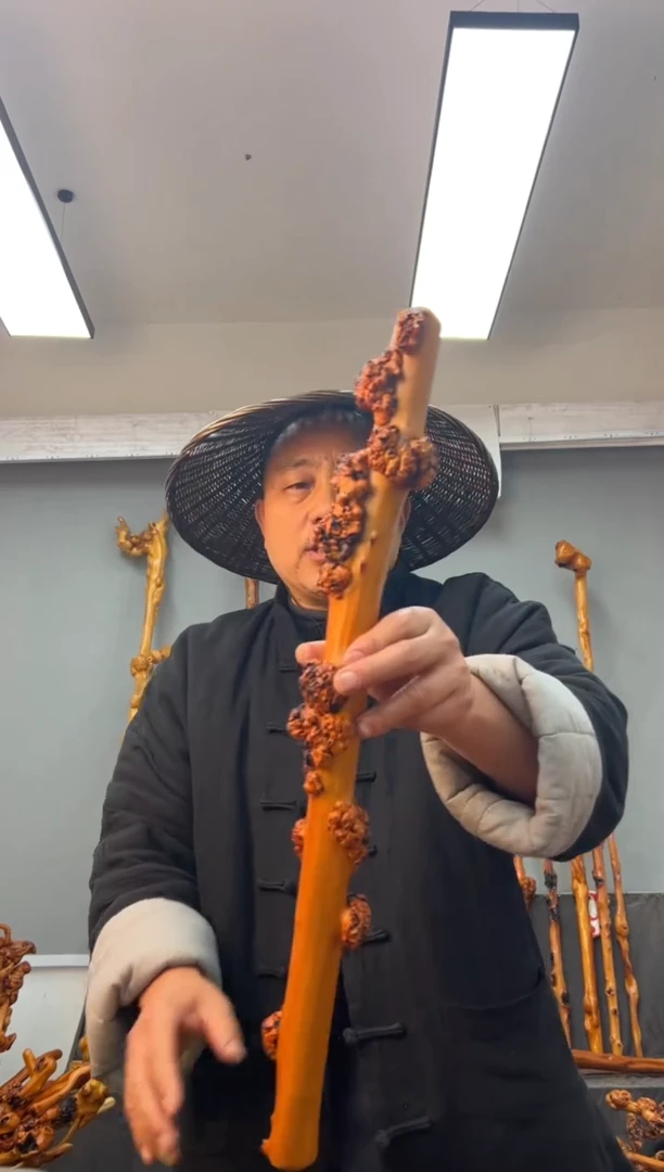 【闪购商品】黑果木其他黑果木219