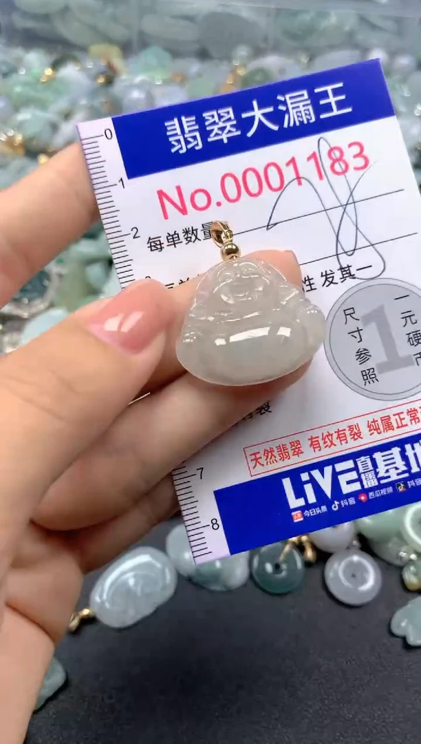 颈饰未镶嵌翡翠1183