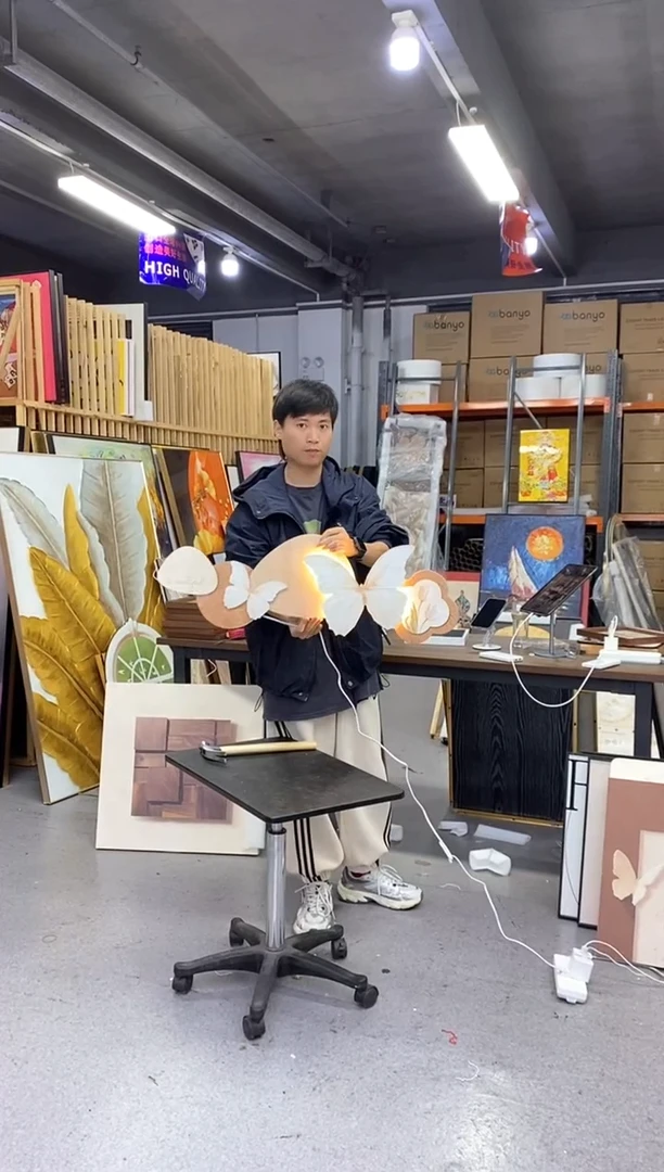 带灯款带灯的蝴蝶装饰画