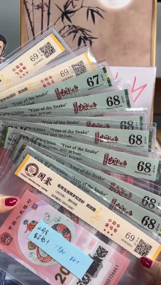 塑料蛇钞小司令金马标十（三张国鉴+七张PMG）