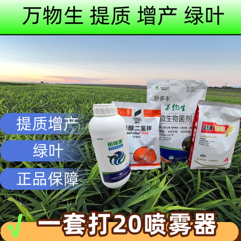 万物生 生姜提质绿叶套装 一套打20个喷雾器