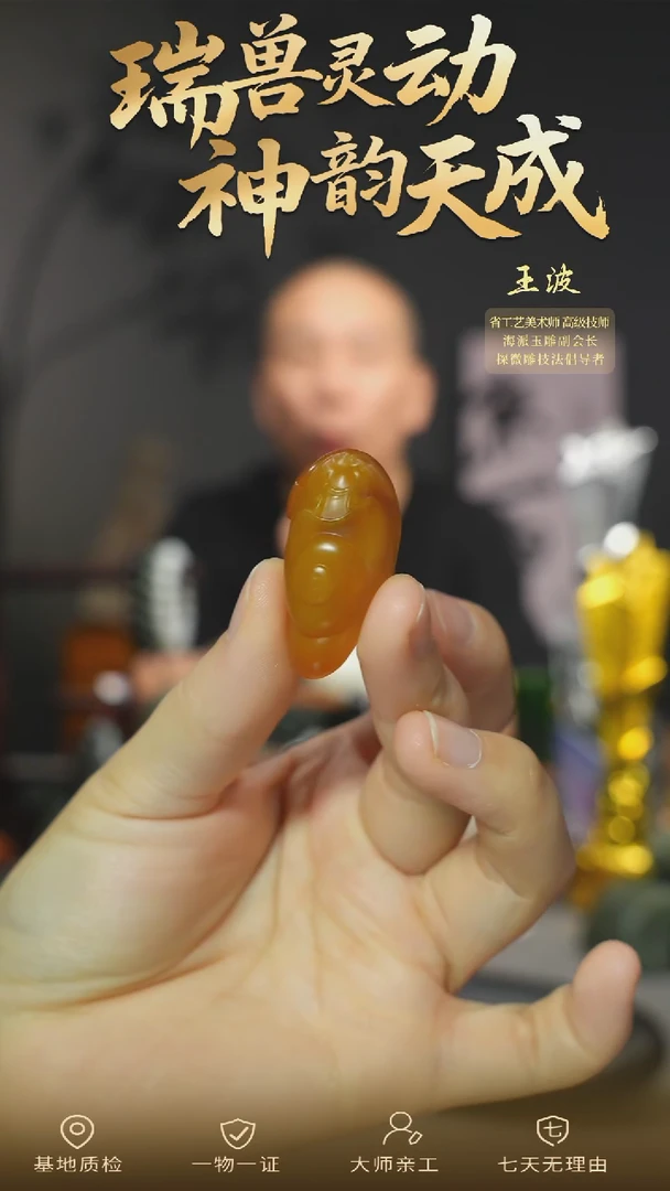 颈饰未镶嵌和田玉xjzl   wz