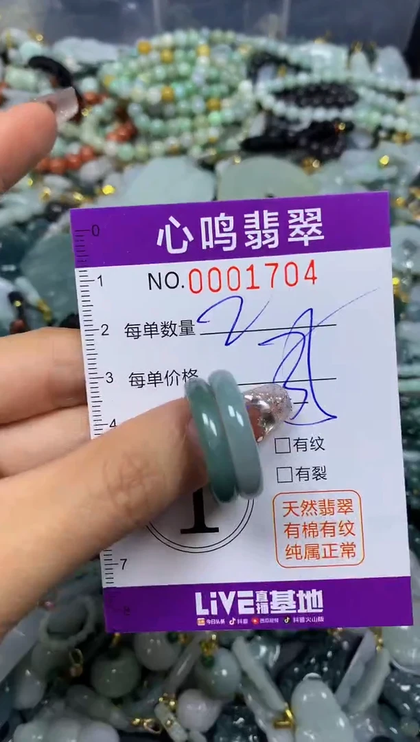 【闪购商品】翡翠颈饰未镶嵌闪购001704