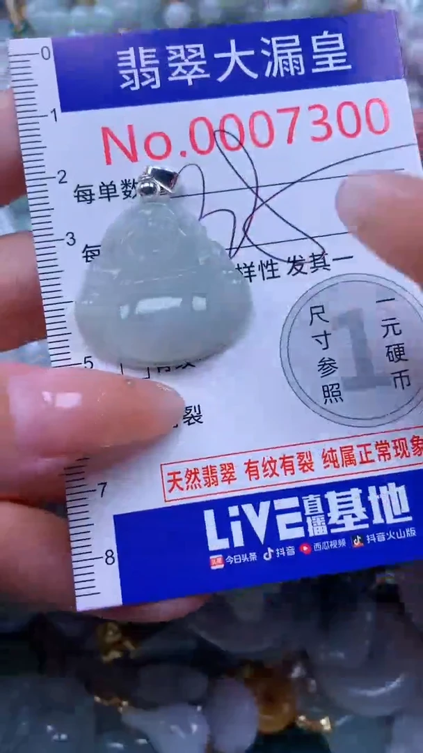 翡翠未镶嵌吊坠(不含链)7300