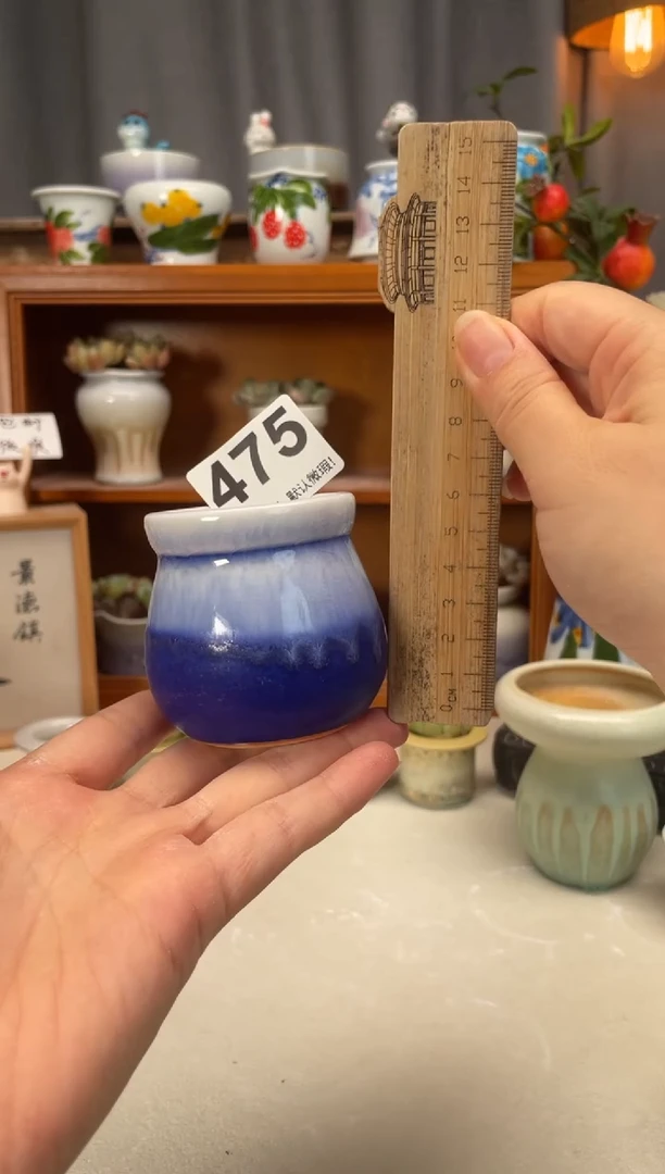 瓷片475知木小芳直播编号