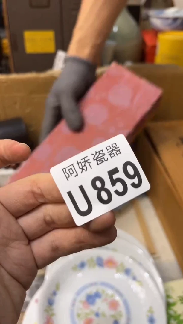 【闪购商品】瓷片859眺望碧海蓝天眺望碧海蓝天