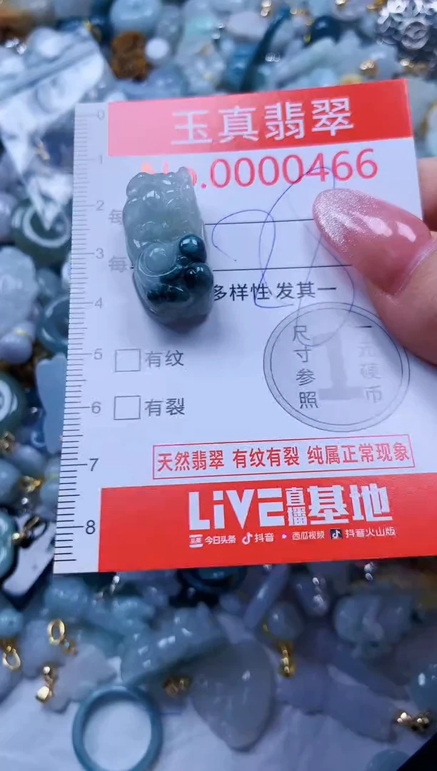 翡翠未镶嵌吊坠(不含链)0466