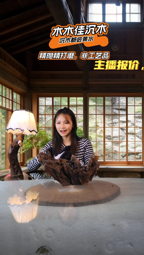 黎*木木佳沉木鱼缸造景893