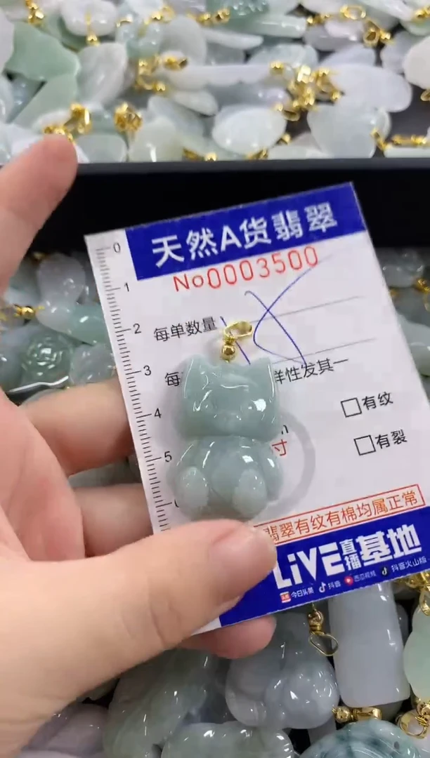 颈饰未镶嵌翡翠天然A货翡翠