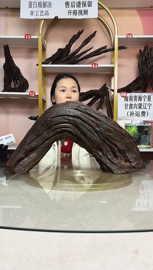 红****厂鱼缸造景沉木A002