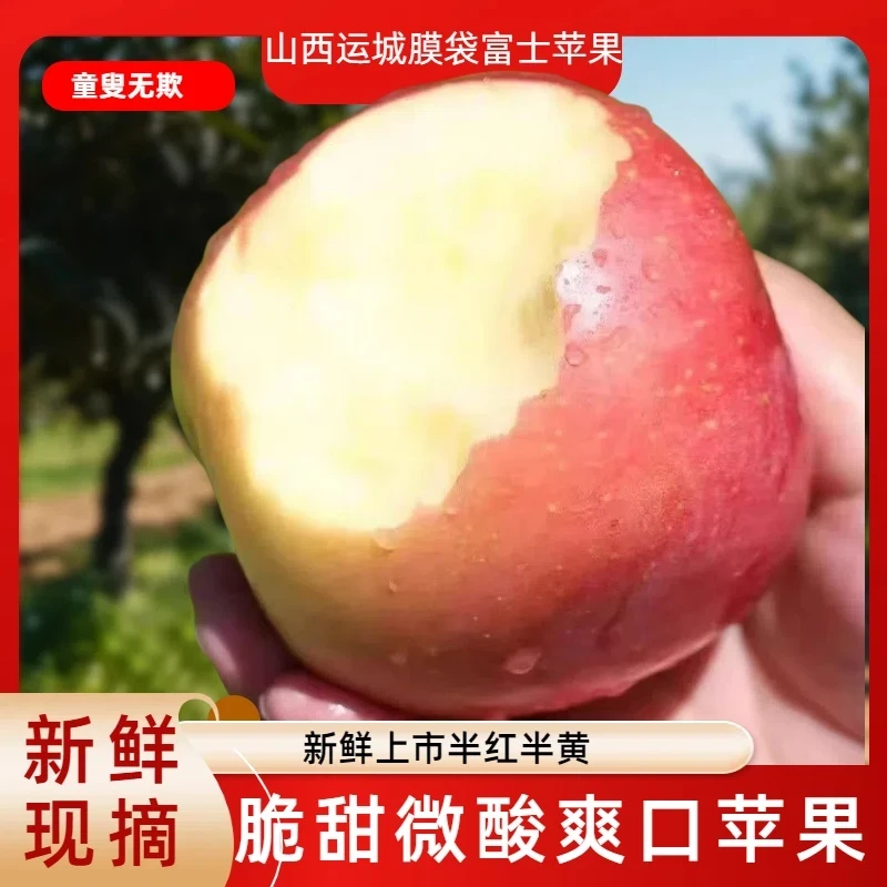 陕西膜袋红富士苹果当季新鲜片红苹果脆甜多汁农家整箱产地直发
