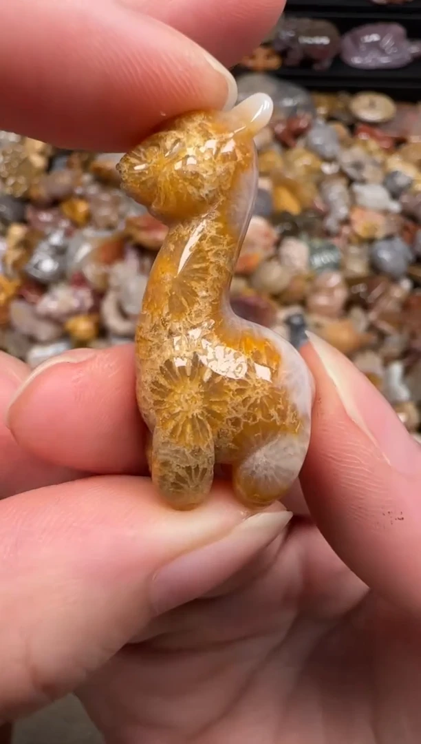 硅化珊瑚（珊瑚玉）未镶嵌颈饰178